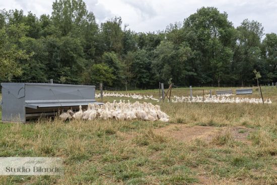 Photos diverses 2020