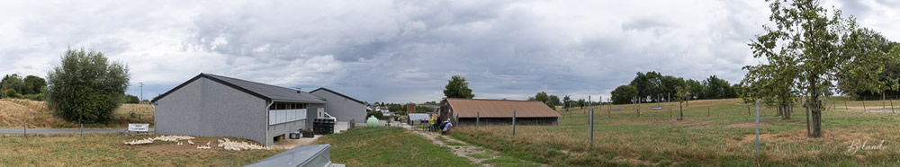 Vue panoramique de notre exploitation - Visite guidée.