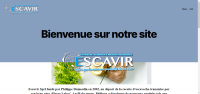 Escavir - Olloy-sur-Viroin